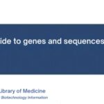 A presentation slide titled “A beginner’s guide to genes and sequences at NCBI” by Peter Cooper, featuring the U.S. National Library of Medicine and National Center for Biotechnology Information logos.